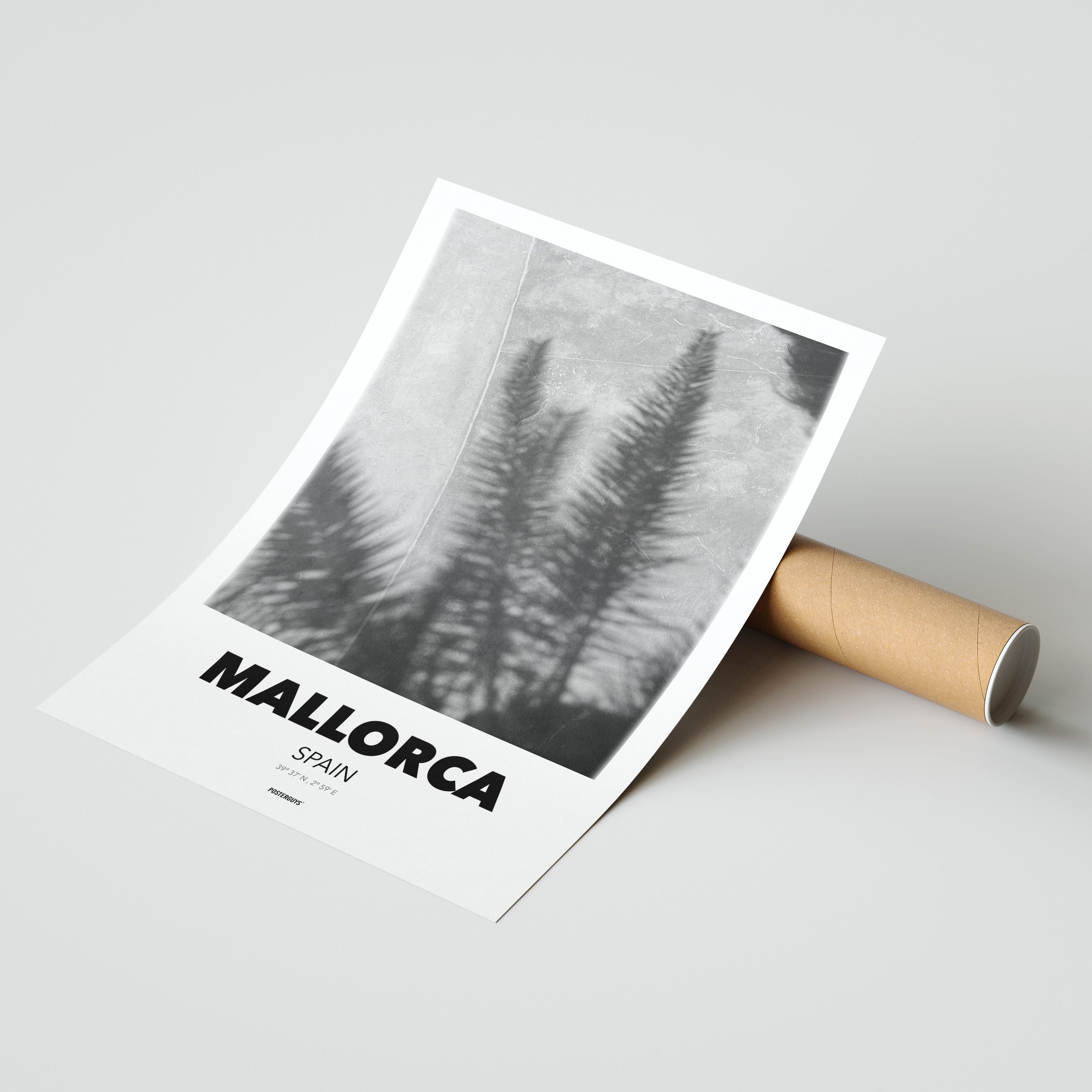 Palm Leaf